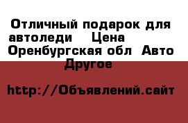Отличный подарок для автоледи. › Цена ­ 2 500 - Оренбургская обл. Авто » Другое   